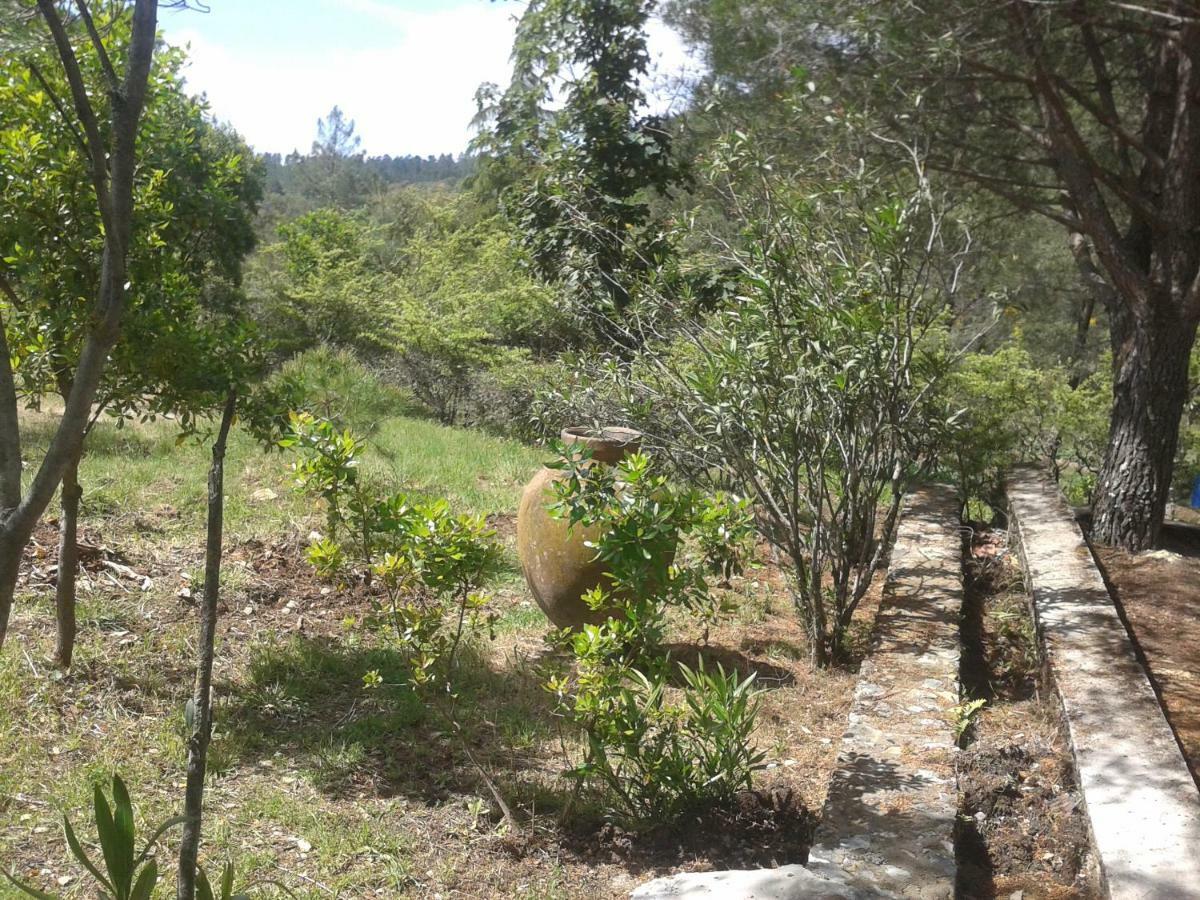 Quinta Das Lameirinhas Marvao  Exterior photo
